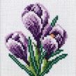 Opakowanie Zestaw do haftu krzyżykowego Krokusy