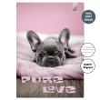 Opakowanie Zeszyt A4 32k.w 3 linie kolor Pies Love 90g