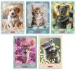Opakowanie Zeszyt A5/16K linia Animals (20szt) HERLITZ
