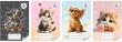 Opakowanie Zeszyt A5/16k linia kol. Sweet Pets (20szt)