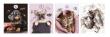 Opakowanie Zeszyt A5/60k kratka The Sweet Pets (5szt)