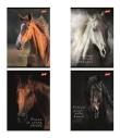 Opakowanie Zeszyt A5/60k kratka Wild Heart (10szt)