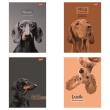 Opakowanie Zeszyt A5/60k linia Doggy Moods (10szt)