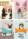 Opakowanie Zeszyt A5/60K linia Funny Dog (10szt)