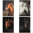 Opakowanie Zeszyt A5/60k linia Wild Heart (10szt)