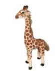 Opakowanie Żyrafa stojąca 57cm
